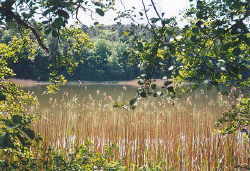 Beautiful Mecklenburg Beautiful Mecklenburg